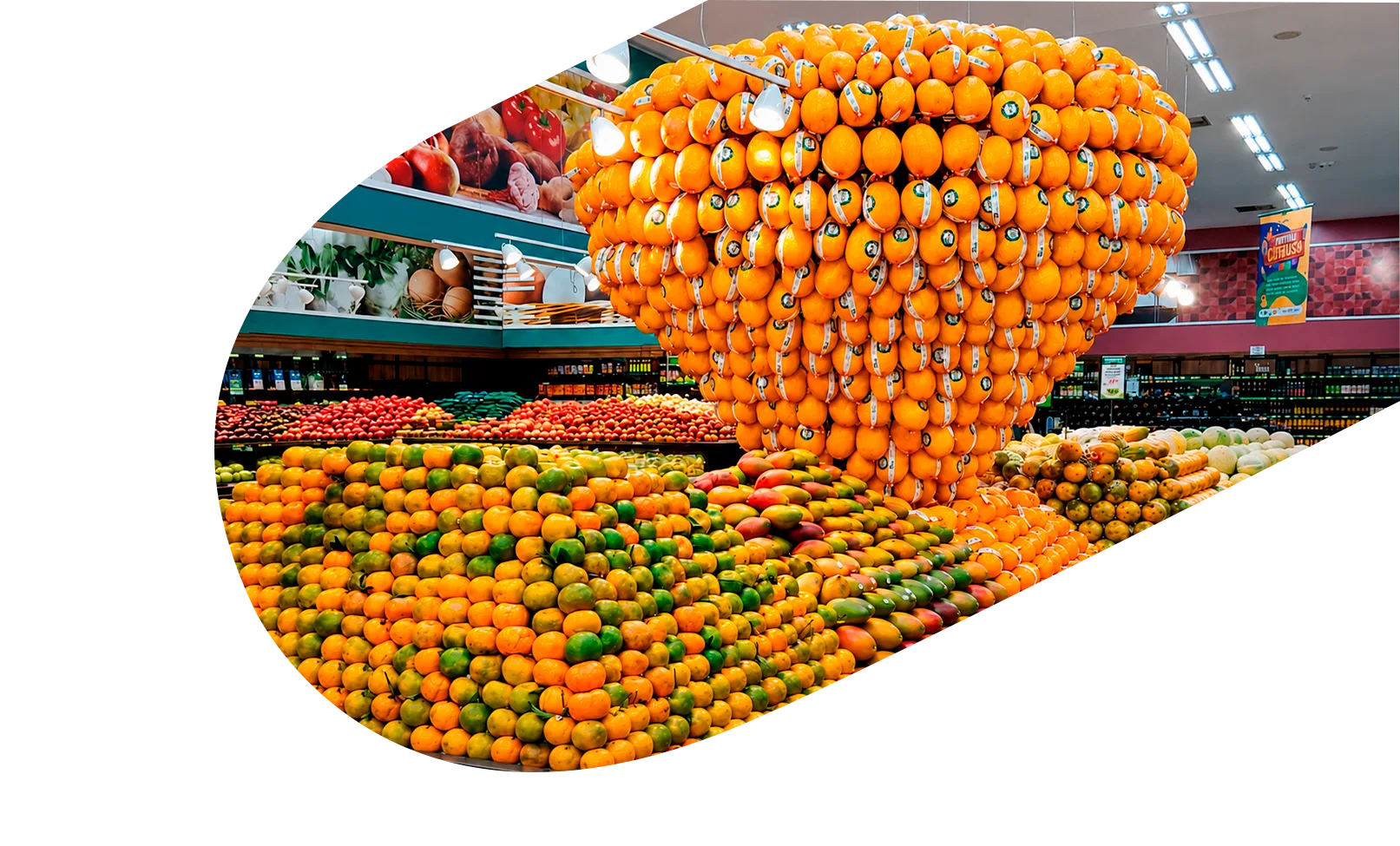 produtos Frutícola Aurora