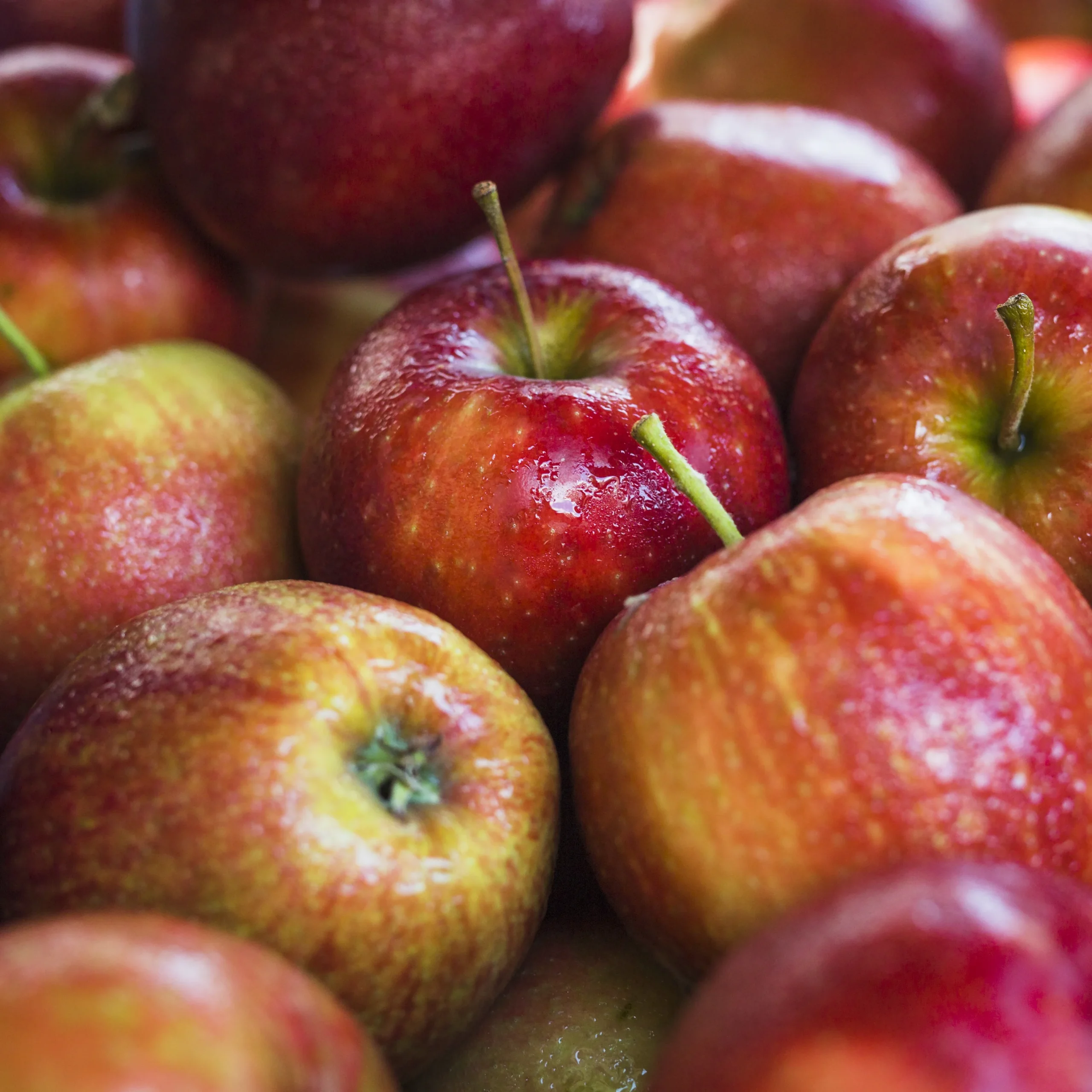 produtos Frutícola Aurora