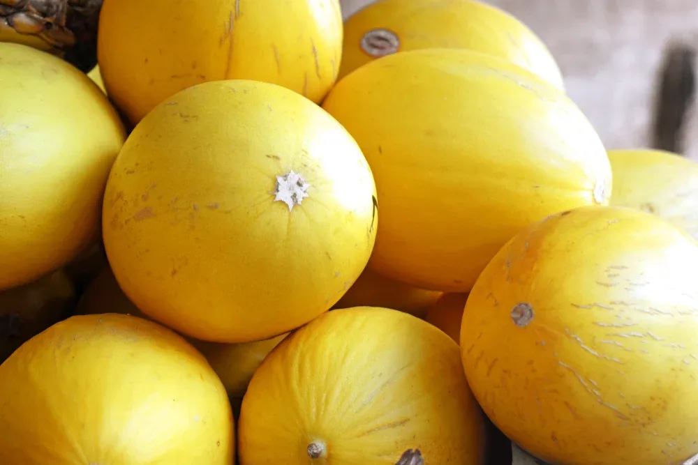 produtos Frutícola Aurora