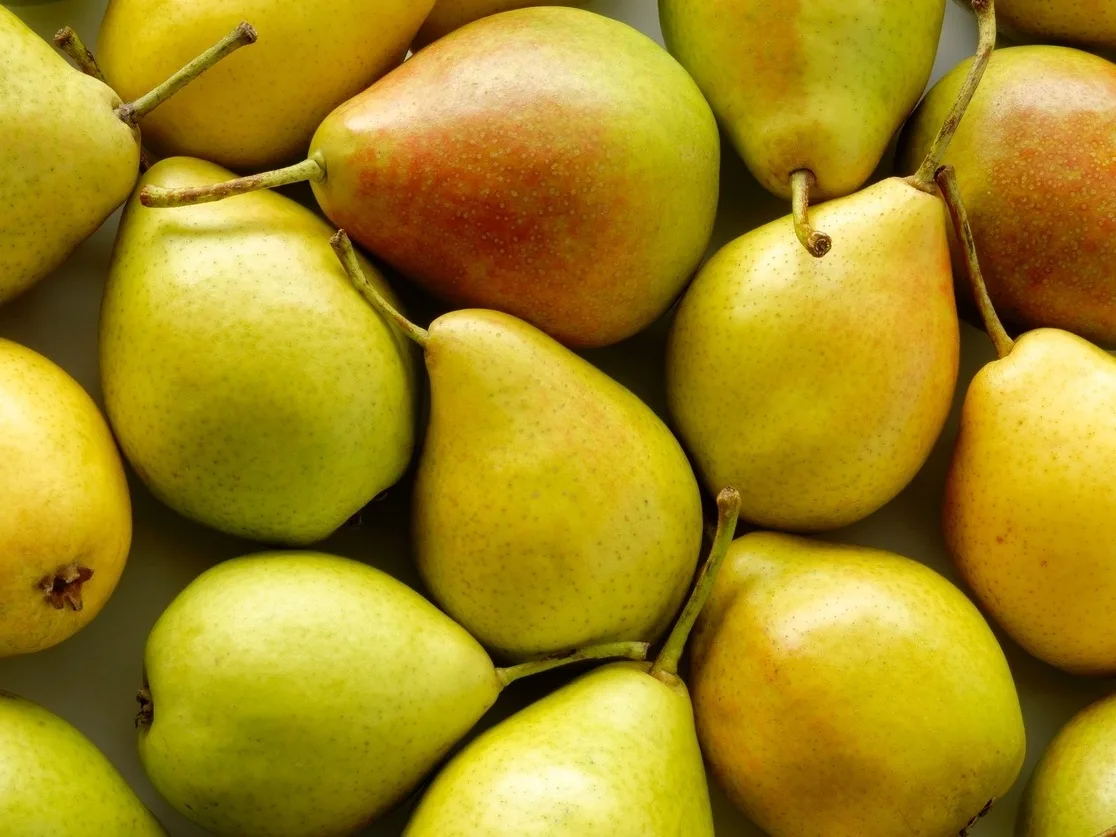 produtos Frutícola Aurora