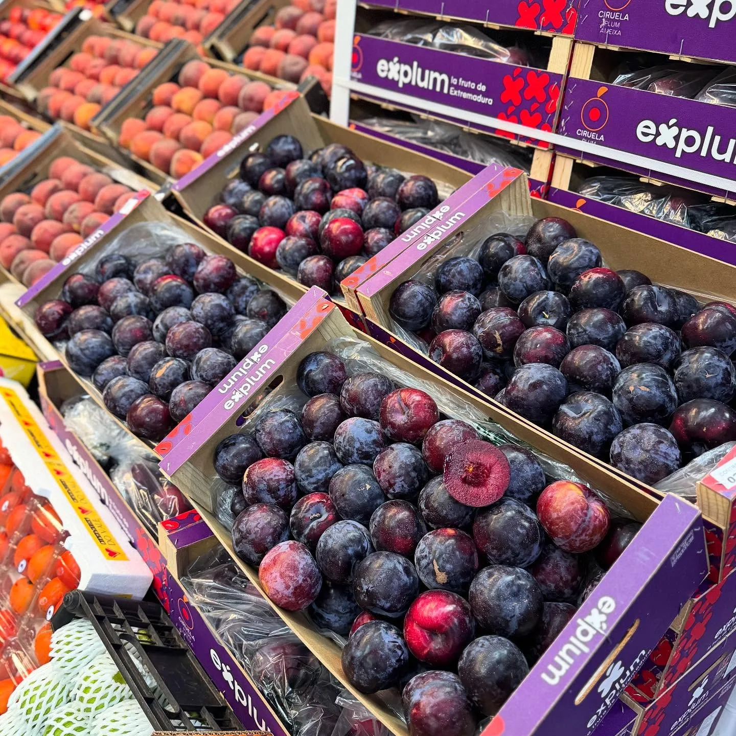 produtos Frutícola Aurora