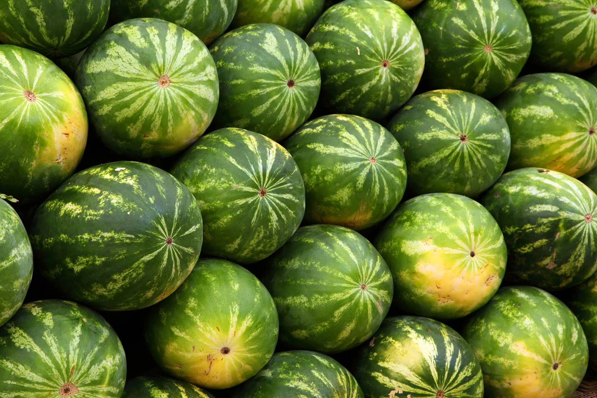 produtos Frutícola Aurora