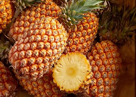 produtos Frutícola Aurora