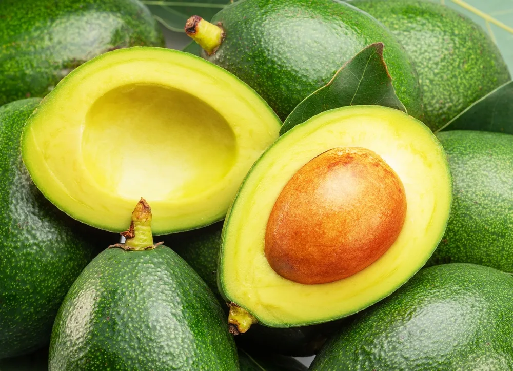 produtos Frutícola Aurora