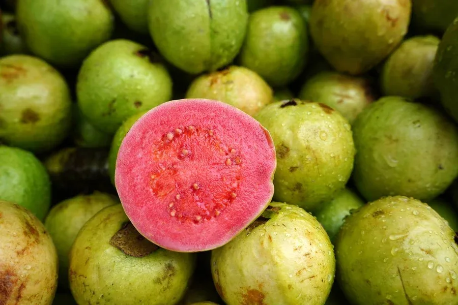 produtos Frutícola Aurora