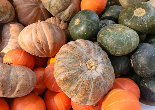 produtos Frutícola Aurora