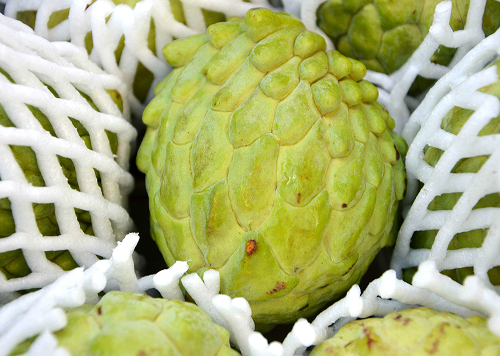 produtos Frutícola Aurora