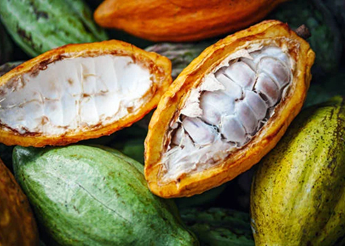 produtos Frutícola Aurora