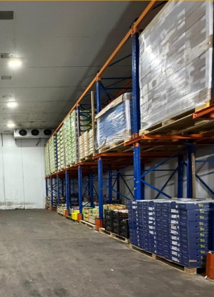 Empresa Frutícola Aurora
