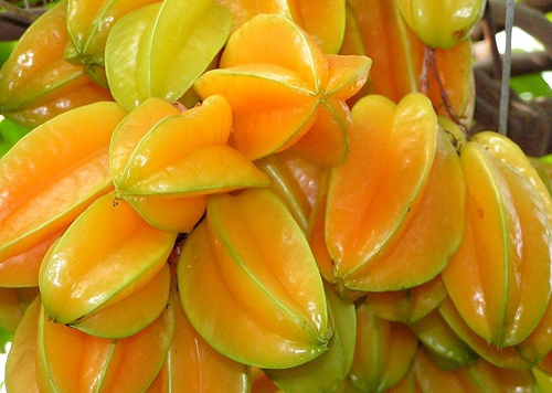 produtos Frutícola Aurora