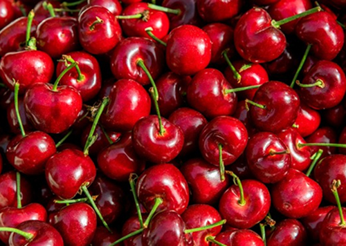 produtos Frutícola Aurora