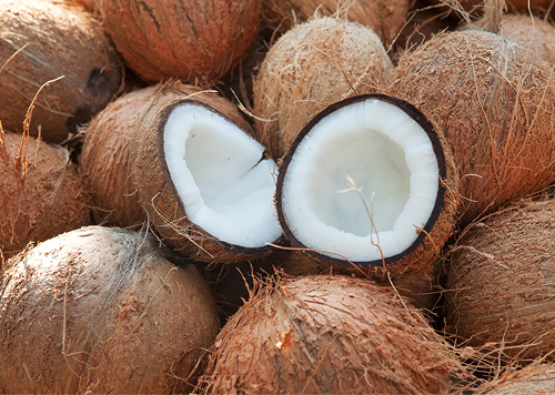 produtos Frutícola Aurora