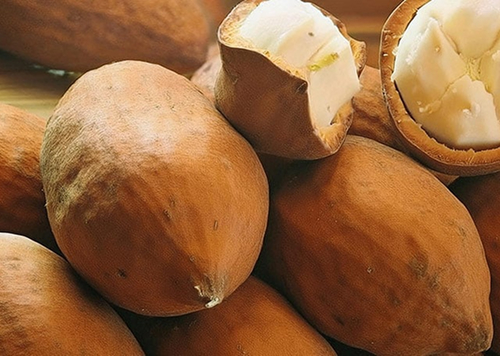 produtos Frutícola Aurora