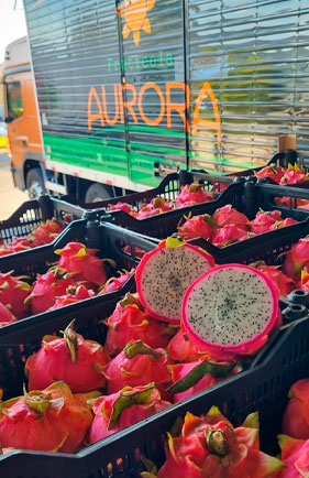 serviços Frutícola Aurora