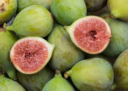 produtos Frutícola Aurora