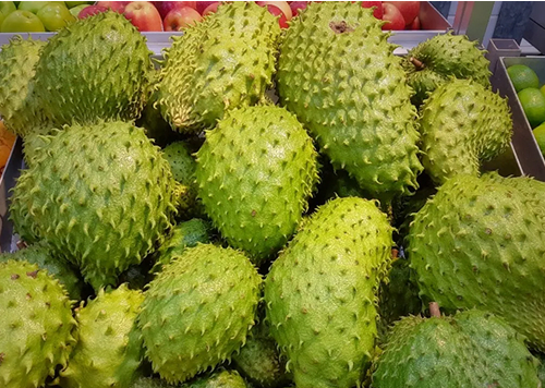 produtos Frutícola Aurora