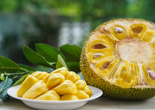 produtos Frutícola Aurora