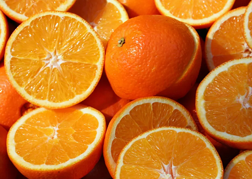 produtos Frutícola Aurora