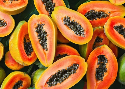 produtos Frutícola Aurora