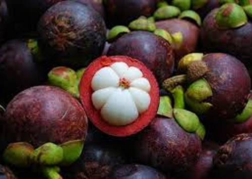 produtos Frutícola Aurora