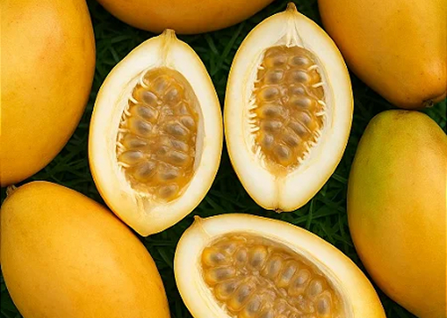 produtos Frutícola Aurora
