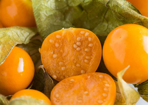 produtos Frutícola Aurora